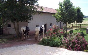 Ballade sur terrasse 2