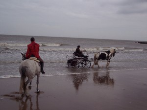 Ombres et Lumières en bord de mer