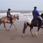 Dressage sur la plage