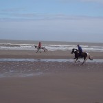 Galops sur la plage