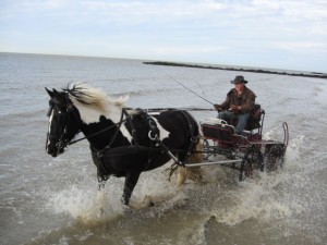 Les pieds dans l'eau